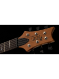 SE Paul's Guitar (Faded Blue Burst), зображення 12